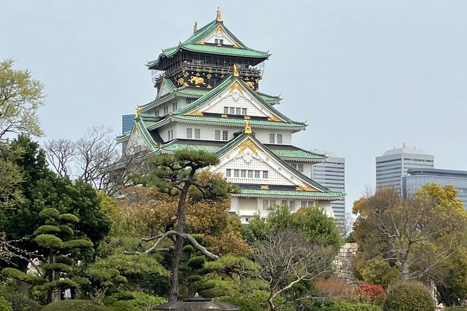 Private Osaka Tour With Hotel Pick up - 3,4,5 Hour Tours - Booking Confirmation and Recommendations