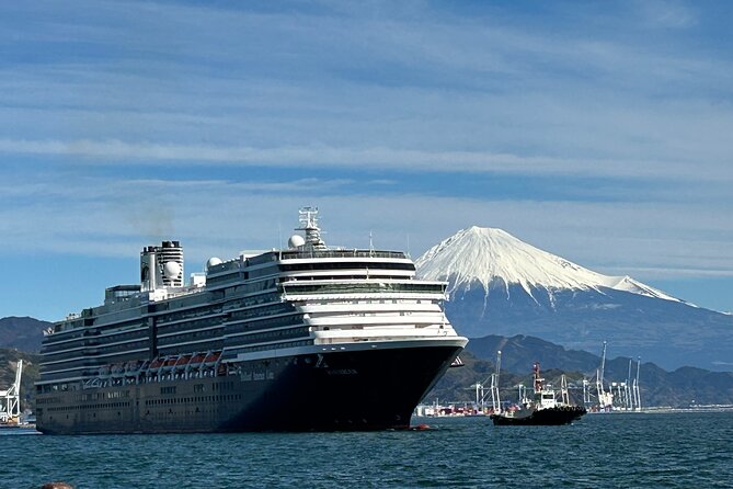 Private Sightseeing Tour in Shimizu Port by Sedan Taxis - Booking Details