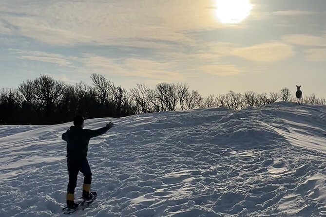 Private Snow Shoe Tour in Shiretoko National Park - Pricing and Cancellation