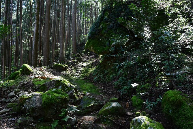 Private Spiritual Hike in Hidakamura With Mountain Monk - Price and Reviews