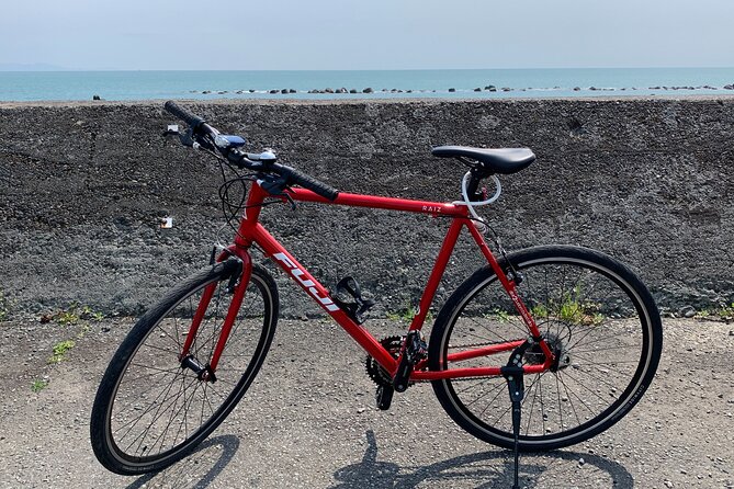 Rental Hybrid Bikes at Shizuoka Station (24 Gears: Not E-Bikes) - Pricing and Reservations