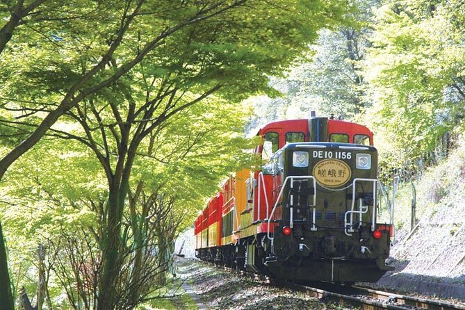 Sagano Romantic Train & Arashiyama, Kiyomizudera, Fushimi Inari Taisha Day Tour - Cancellation Policy