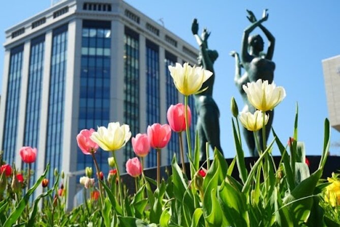 Sapporo Afternoon Walking Tour 2h 30mins - General Information