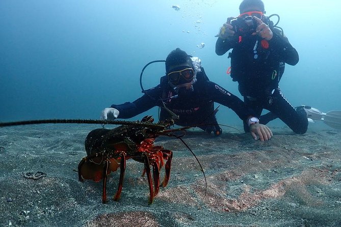 Scuba Diving & Snorkeling - Directions