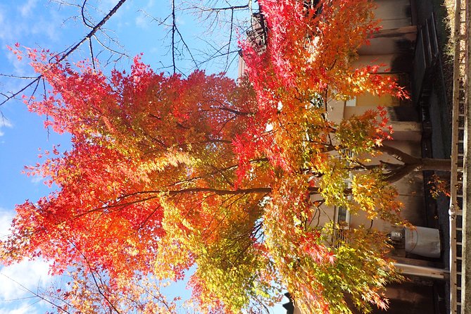 Short Morning Cycling Tour in Hida - Tour Inclusions