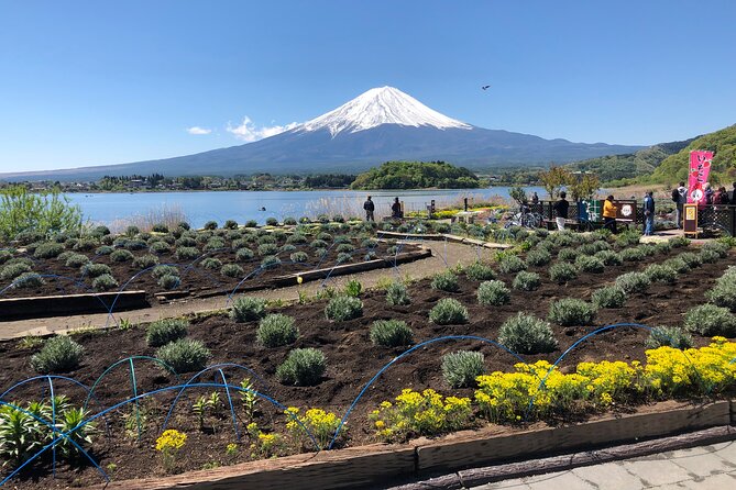 Shuttle Van Tour Mt.Fuji From Tokyo and Yokohama - Important Reminders