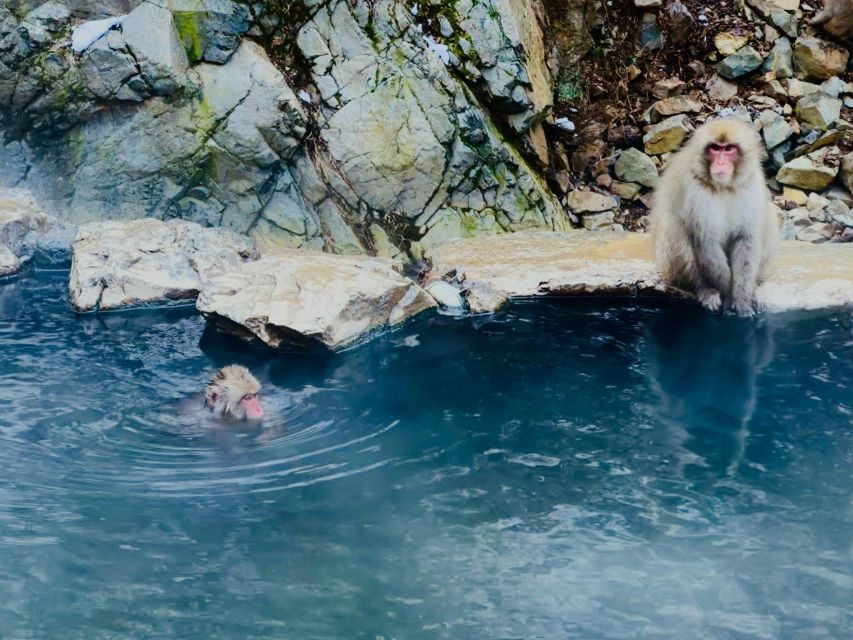 Snow Monkey Park & Zenkoji Temple One Day Trip - Directions
