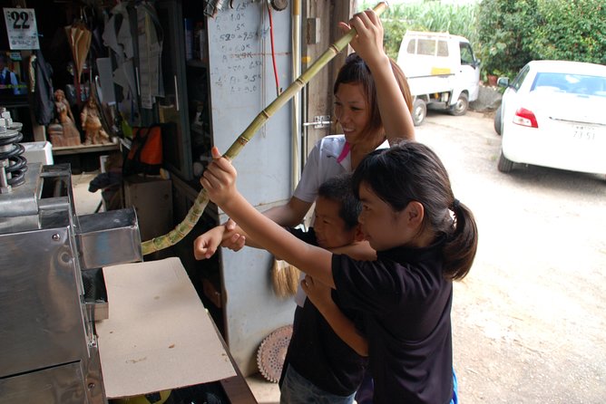 Sugarcane Cutting Experience With Okinawas Grandfather - End Point Details