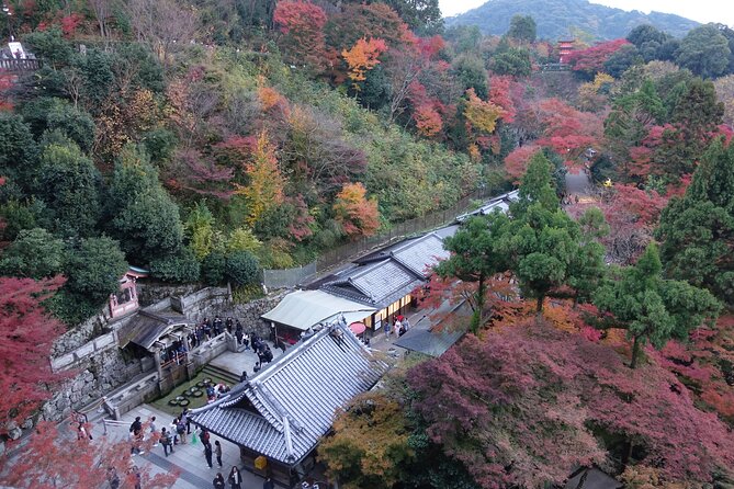 The Original Early Bird Tour of Kyoto. - Guide Information and Reviews