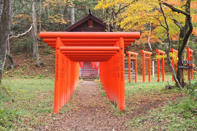 Togakushi Shrine Hiking Trails Tour in Nagano - Inclusions and Logistics