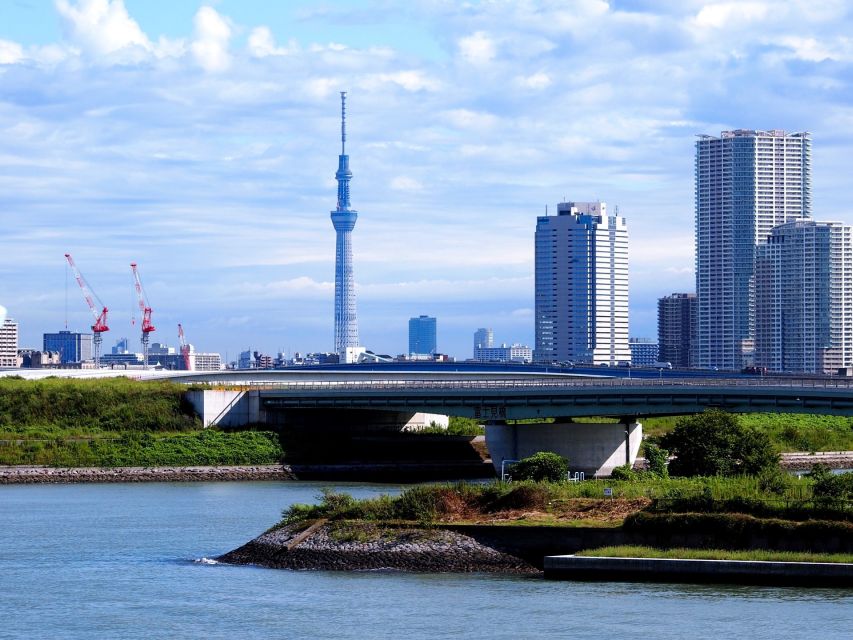 Tokyo: 1-Day Private Customizable Tour by Car - Booking Information