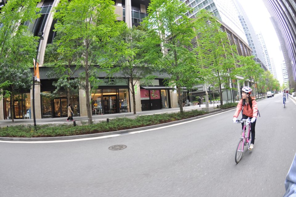 Tokyo: Discover Traditional Tokyo Full-Day Bicycle Tour - Review Summary and Recent Reviews