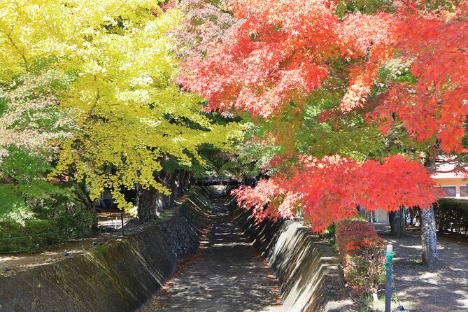 Tokyo: Hakone and Owakudani and Lake Kawaguchi Day Tour - Cancellation Policy and Price