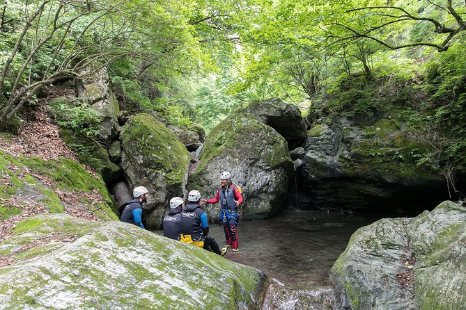 Tokyo Half-Day Canyoning Adventure - Stellar Reviews and Testimonials