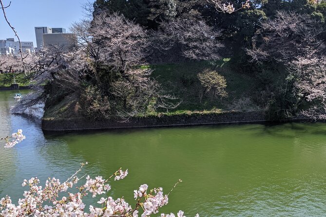 Tokyo Imperial Palace Higashi Gyoen Wellness Tour - Frequently Asked Questions