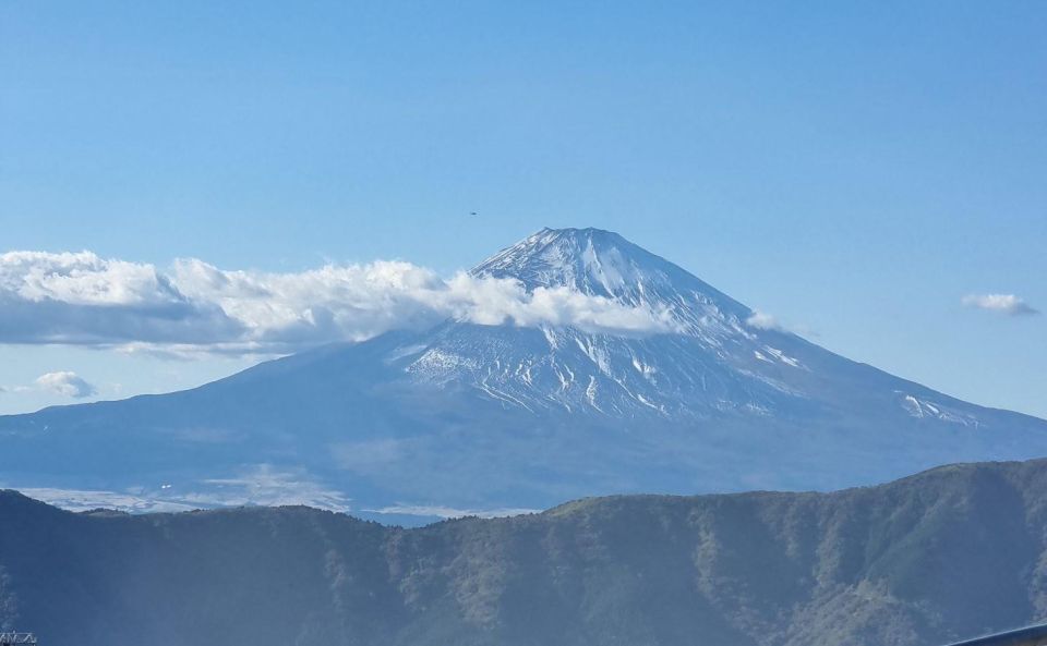 Tokyo: Mt. Fuji and Hakone Tour With Cable Car and Cruise - Customer Reviews