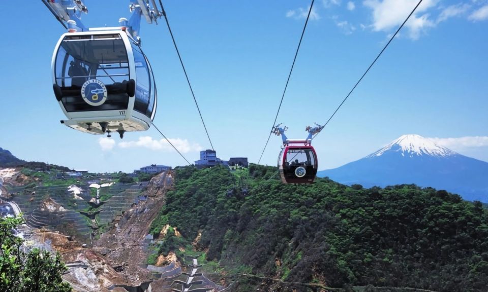 Tokyo: Mt. Fuji & Hakone Day Trip With Cable Car & Cruise - Meeting Point Details