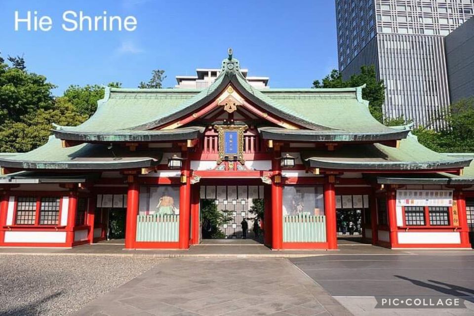 Tokyo: Private Full Day Sightseeing Tour - Important Information