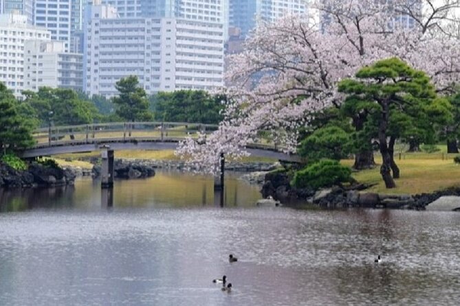 Tokyo Tsukiji & Hamarikyu Gardens Wellness Tour – Walk and Relax - Cancellation Policy