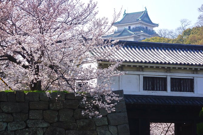 Wakayama Castle Town Walking Tour - Safety and Accessibility