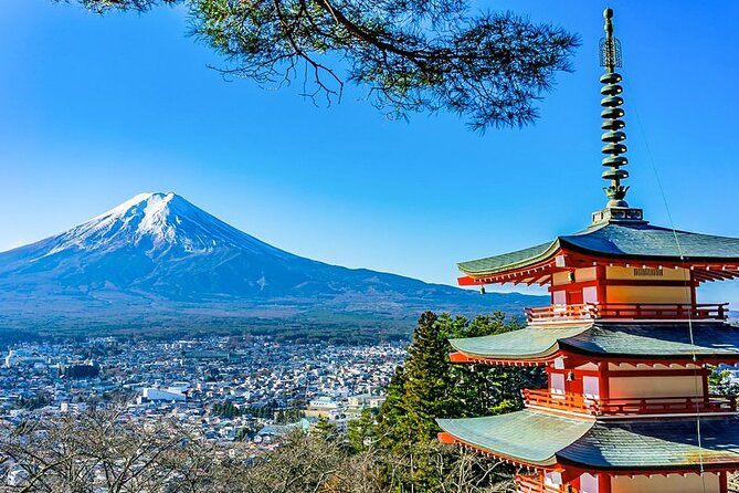 Walking Tour in Mt. Fuji From Tokyo - Hosts Responses