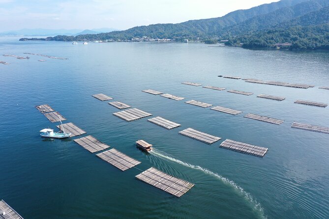 Witness an Oyster Harvest & Interact With Local Oyster Farmers! - Booking, Price, and Cancellation Policy