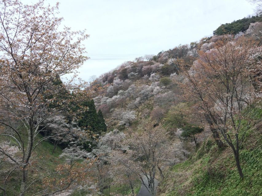 Yoshino: Private Guided Tour & Hiking in a Japanese Mountain - Inclusions and Additional Costs