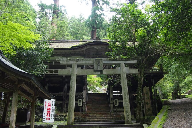 1 Day Hiking Tour in the Mountains of Kyoto - Recap