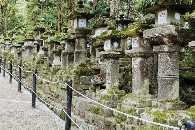 1 Day Walking Tour in Nara Palace Deer and Inkstick - Guided Walking Tour