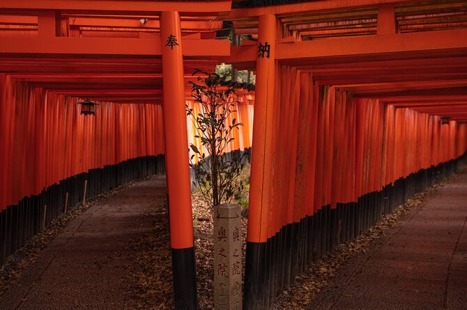 10 Must-See Spots in Kyoto One Day Private Tour (Up to 7 People) - Tour Ending Location