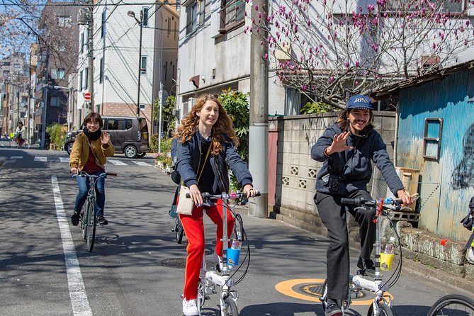 2.5 Hour-Guided Cycle Tour in the Central Tokyo - Additional Information