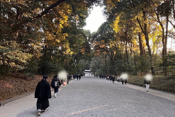 2hours Tour in Meiji Shrine,Red Ink Stamp Experience and Shopping - What to Expect and Confirmation