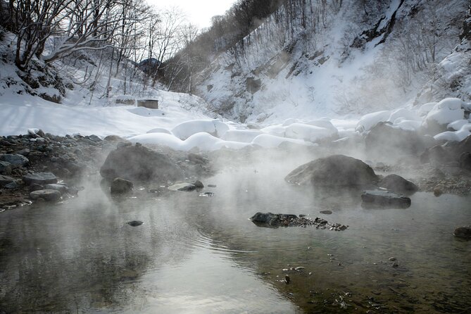 A Secret Wild Outdoor Bath Rotenburo Experience From NAGANO - Confirmation and Accessibility