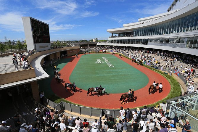 A Tour to Enjoy Japanese Official Gambling (Horse Racing, Bicycle Racing, Pachinko) - What To Expect During the Tour