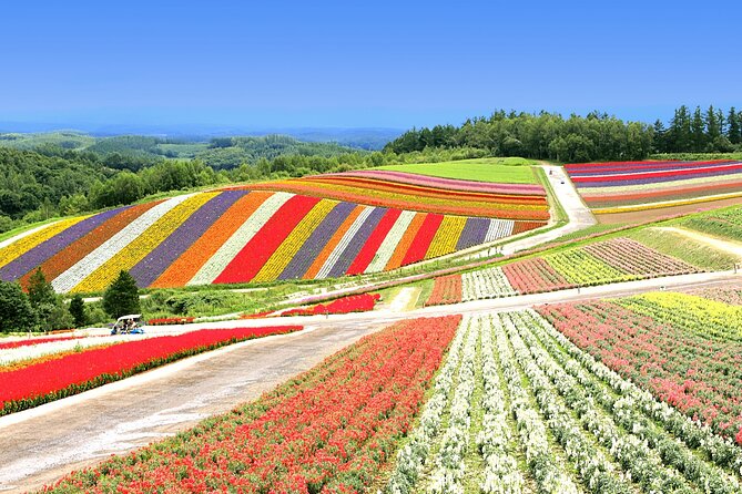 All-you-can-eat Yubari Melons & Hokkaido Lavender Tour - Recap