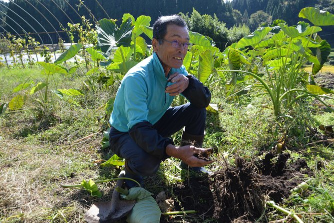 Aso Cycling and Farming Private Tour - End Point