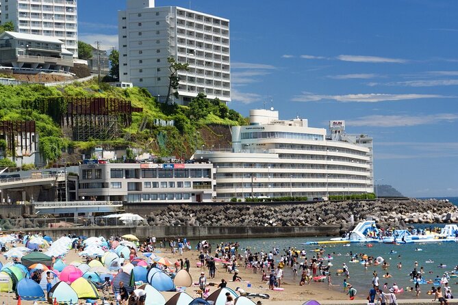 Atami Half-Day Private Tour With Government-Licensed Guide - Additional Info