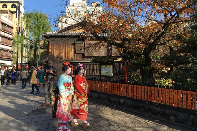 Bike Tour Exploring North Kyoto Plus Lunch - Price and Booking Information