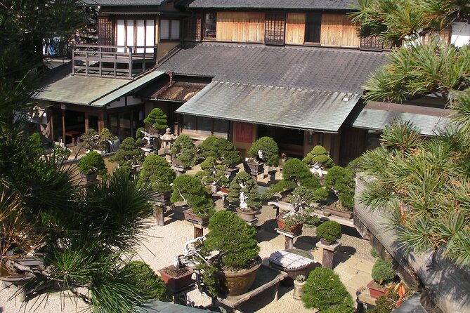 Bonsai and Washi Museum Visit in Tokyo - Booking and Reservation