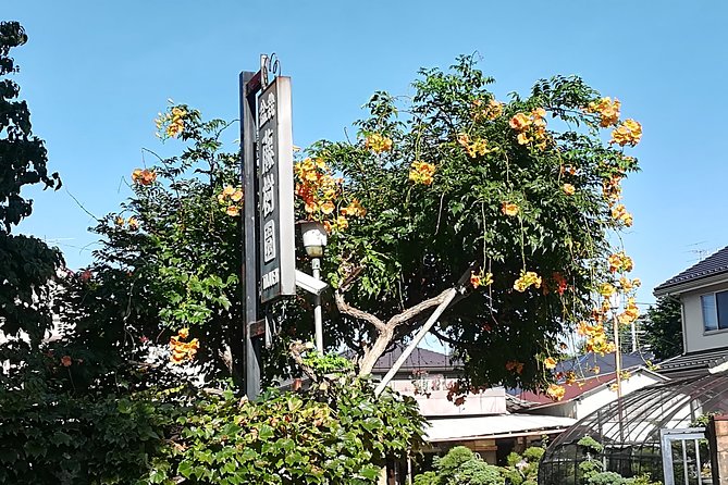 Bonsai Museum & Bonsai Experience - Directions and Meeting Point