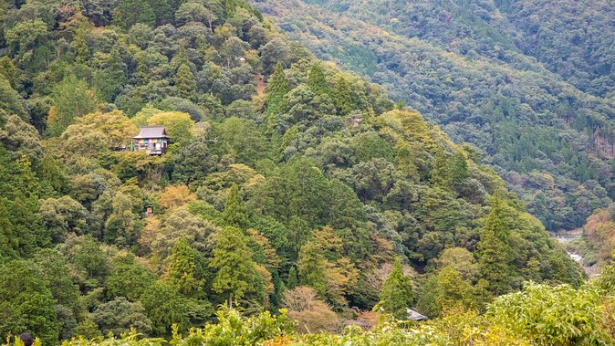 City Escape: Arashiyama Park Private Day Trip - Recap