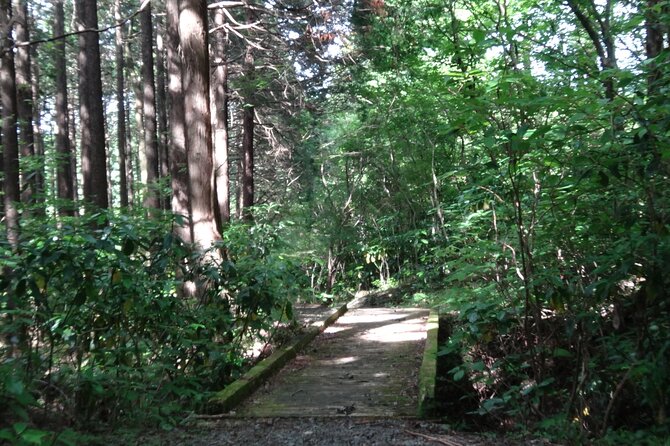 Easygoing Nature Walk in Hakone Tour - Inclusions