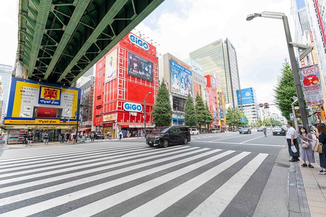 Exclusive Experience: Tailored Anime & Culture Tour in Akihabara - Additional Information