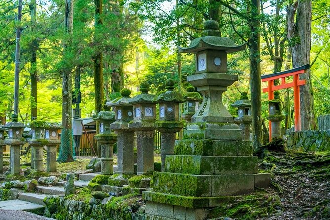 Explore the Best Spots of Arashiyama / Nara in a One Day Private Tour From Kyoto - Recap