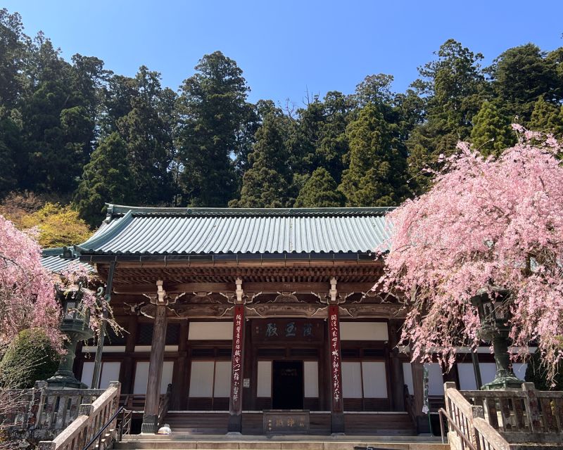 Fm Odawara: Forest Bathing and Onsen With Healing Power - Meeting Point