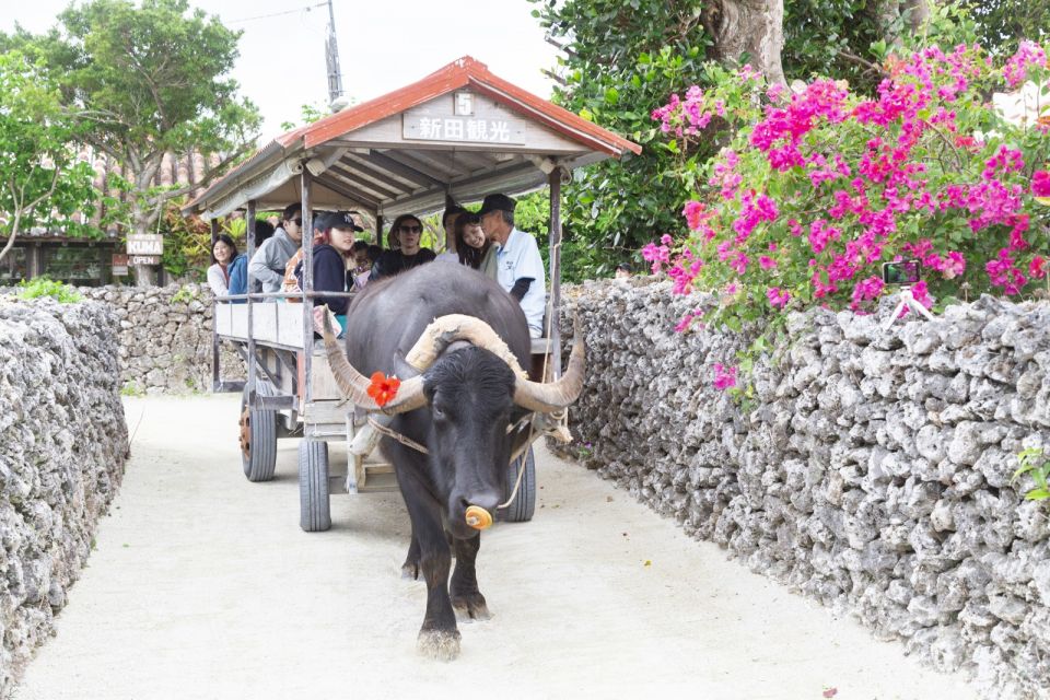 From Ishigaki: Hamajima and Taketomi Island Snorkel Trip - Customer Review