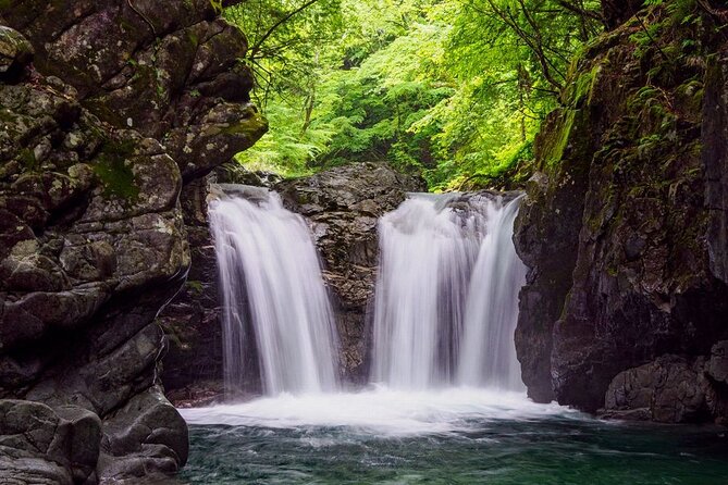 [From Takayama or Gero]Half Day Trip in Hida-Osaka Waterfall - Pricing Information