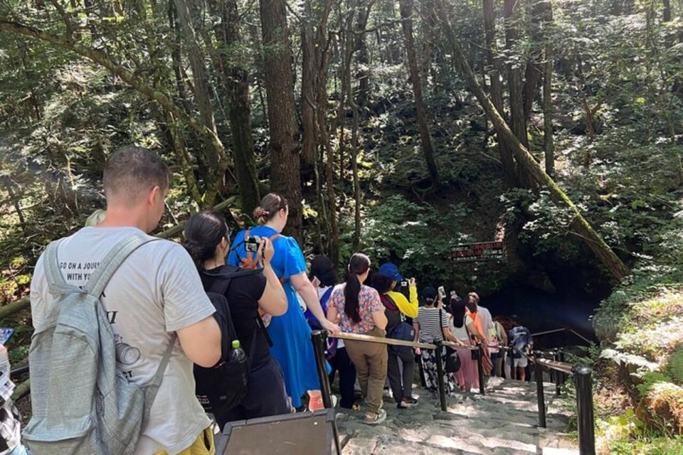 From Tokyo: Guided Aokigahara Forest and Mt.Fuji Day Tour - Recommendations