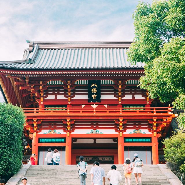 From Tokyo: Kamakura, Hachimangu Shrine & Enoshima Day Tour - Important Information for Participants