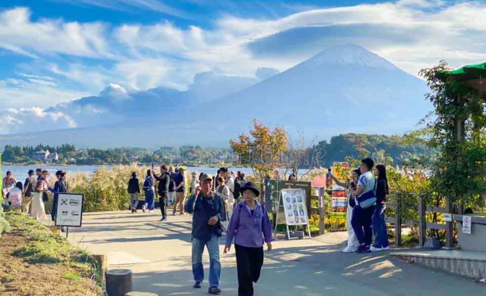 From Tokyo: Mount Fuji Private Sightseeing Day Trip - The Sum Up